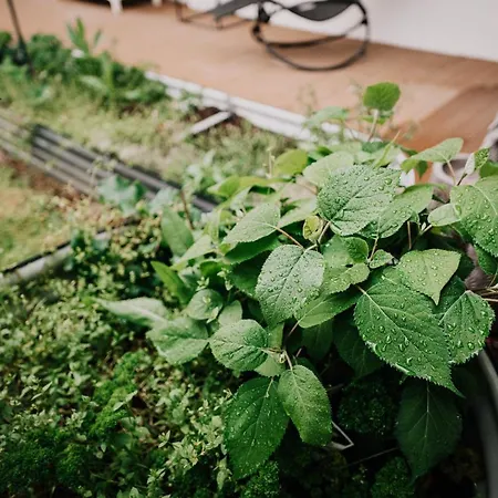 Soonwald Haus I Hot Tube I Whirlpool I Kamin Stromberg (Hunsrueck)