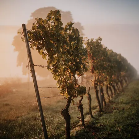 Soonwald Haus I Hot Tube I Whirlpool I Kamin