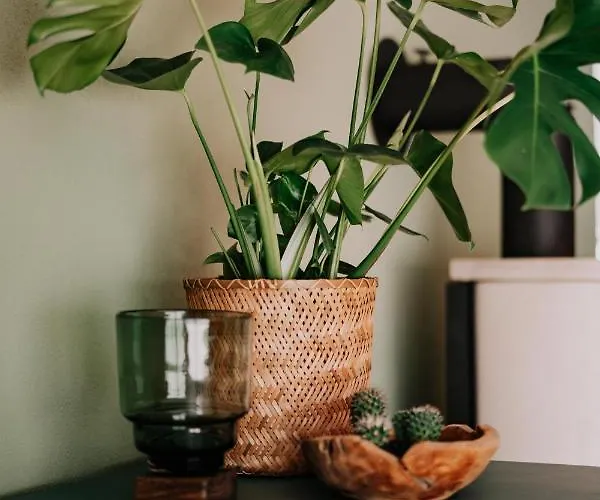 Soonwald Haus I Hot Tube I Whirlpool I Kamin סטרומברג