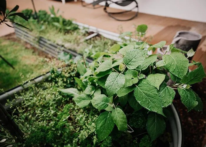 Soonwald Haus I Hot Tube I Whirlpool I Kamin סטרומברג