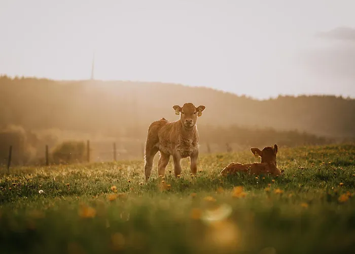 Soonwald Haus I Hot Tube I Whirlpool I Kamin סטרומברג