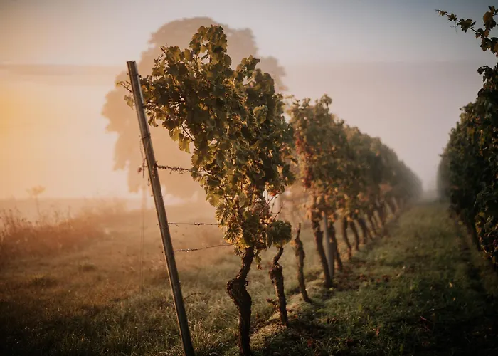 Soonwald Haus I Hot Tube I Whirlpool I Kamin
